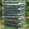 Animal Quail Racing Cages